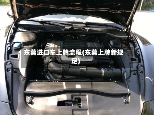 东莞进口车上牌流程(东莞上牌新规定)-第3张图片