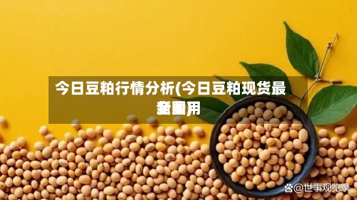 今日豆粕行情分析(今日豆粕现货最新费用全国)