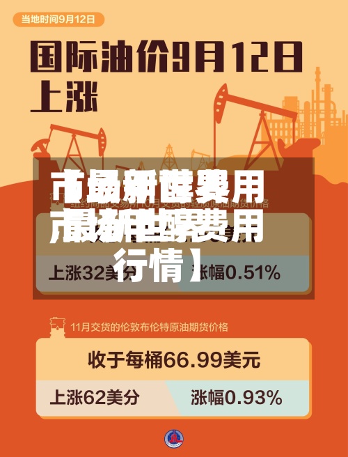 【最新世界市场甲醇费用,最新世界市场甲醇费用行情】-第3张图片
