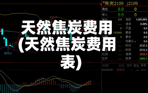 天然焦炭费用(天然焦炭费用表)