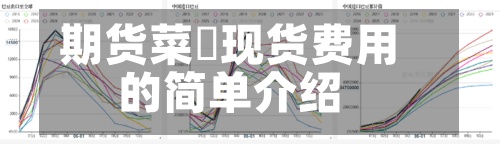 期货菜粨现货费用
的简单介绍-第2张图片
