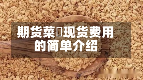 期货菜粨现货费用
的简单介绍-第3张图片