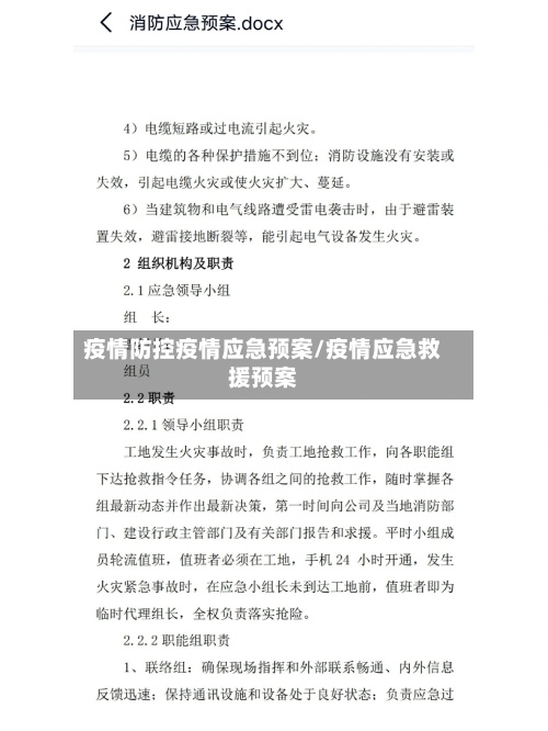 疫情防控疫情应急预案/疫情应急救援预案-第2张图片