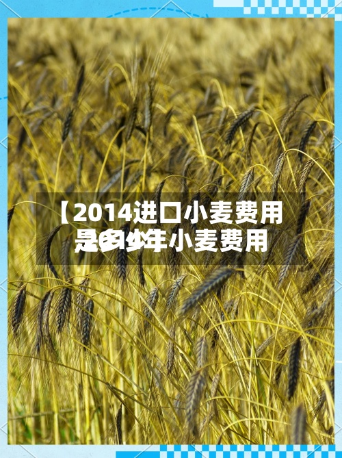 【2014进口小麦费用,2014年小麦费用是多少】