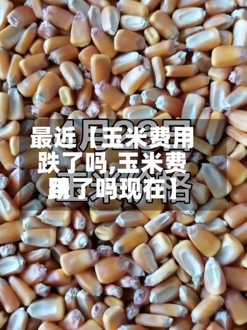 最近【玉米费用跌了吗,玉米费用跌了吗现在】