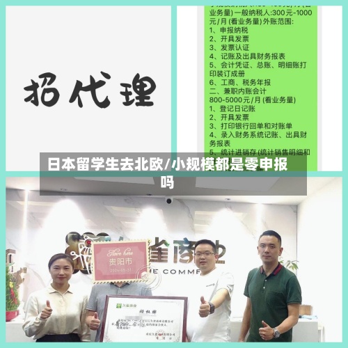 日本留学生去北欧/小规模都是零申报吗-第3张图片