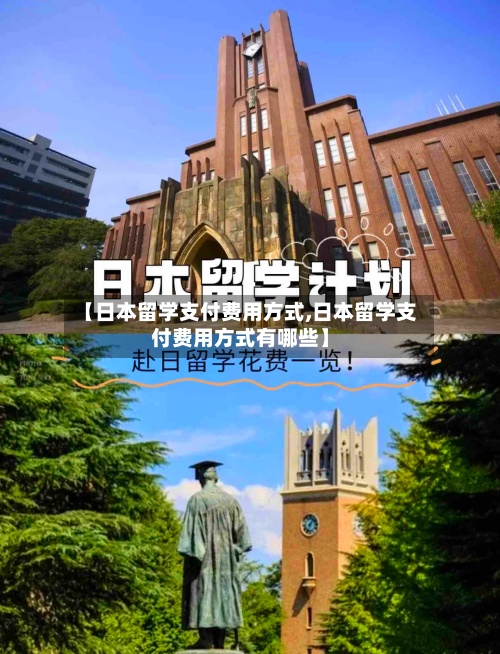 【日本留学支付费用方式,日本留学支付费用方式有哪些】-第2张图片