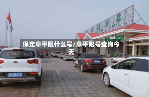 保定阜平限什么号/阜平限号查询今天-第3张图片