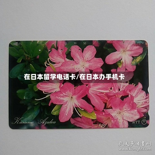 在日本留学电话卡/在日本办手机卡-第3张图片