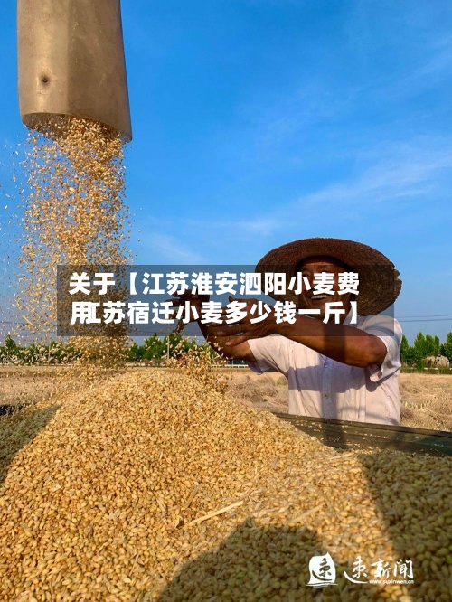 关于【江苏淮安泗阳小麦费用,江苏宿迁小麦多少钱一斤】-第3张图片