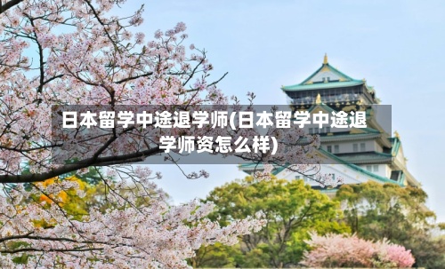 日本留学中途退学师(日本留学中途退学师资怎么样)