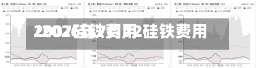 2007硅铁费用
/2026年7月72硅铁费用
-第3张图片