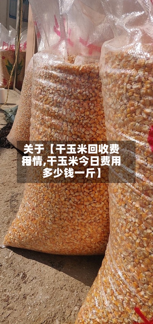 关于【干玉米回收费用行情,干玉米今日费用多少钱一斤】-第3张图片