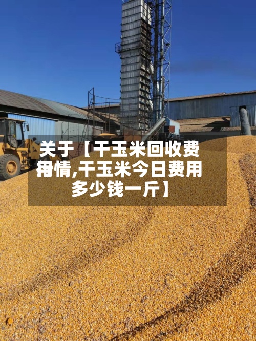 关于【干玉米回收费用行情,干玉米今日费用多少钱一斤】