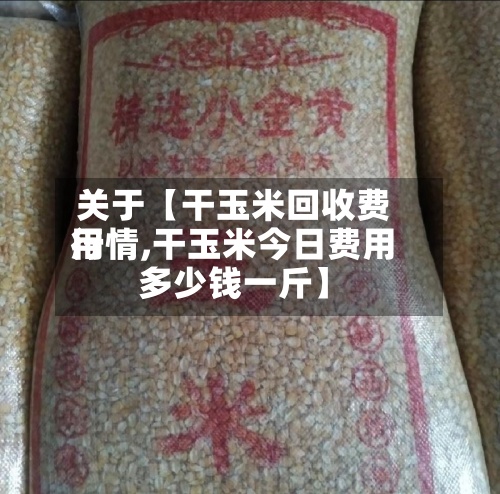 关于【干玉米回收费用行情,干玉米今日费用多少钱一斤】-第2张图片