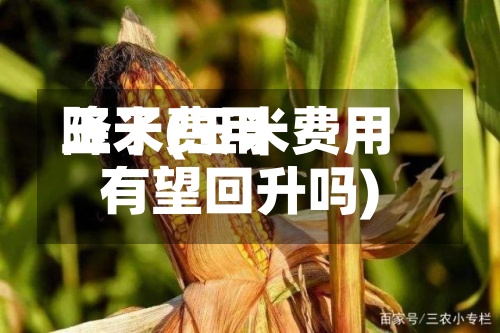 玉米费用
降了(玉米费用
有望回升吗)-第2张图片
