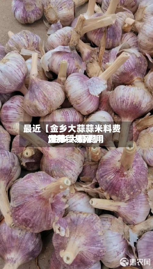 最近【金乡大蒜蒜米料费用
,金乡大蒜费用
世界
大蒜贸易网】-第3张图片