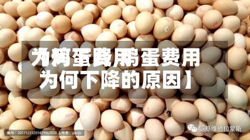 【鸡蛋费用为何下降,鸡蛋费用为何下降的原因】-第2张图片