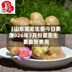 【山东莱芜生姜今日费用,2026年7月份莱芜生姜最新费用】-第3张图片