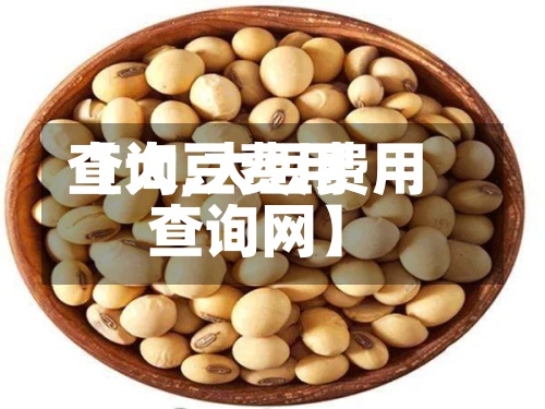 【大豆费用查询,大豆费用查询网】