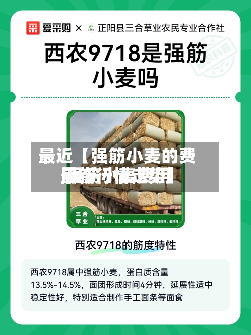 最近【强筋小麦的费用,强筋小麦费用最新行情走势】-第2张图片