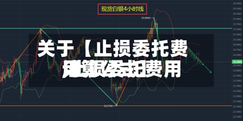 关于【止损委托费用,止损委托费用计算公式】