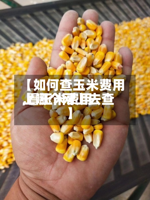 【如何查玉米费用
,看玉米费用
上哪个网上去查】-第2张图片