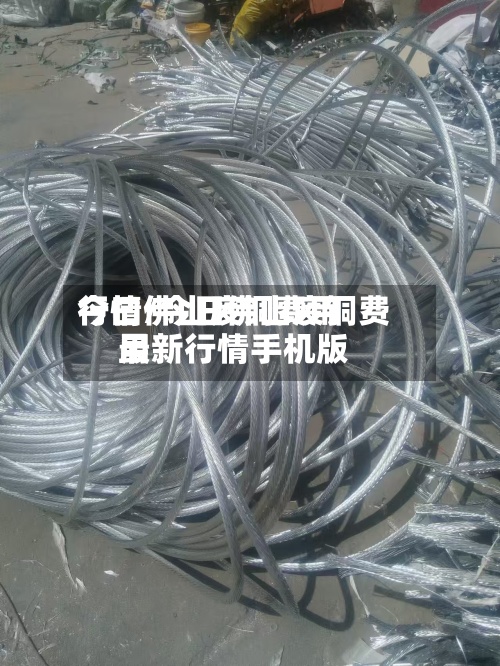 今曰佛山废铜费用
行情/今日佛山废铜费用
最新行情手机版-第2张图片