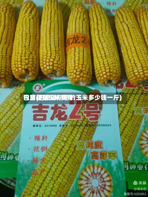巴彦县潮玉米费用今日(巴彦淖尔市的玉米多少钱一斤)-第2张图片