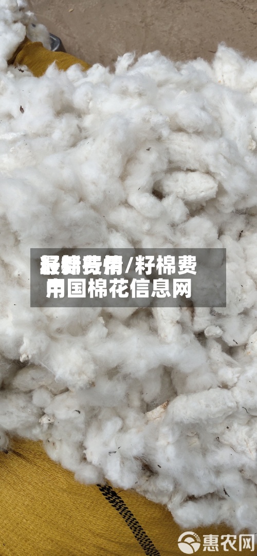 籽棉费用最新行情/籽棉费用中国棉花信息网-第3张图片