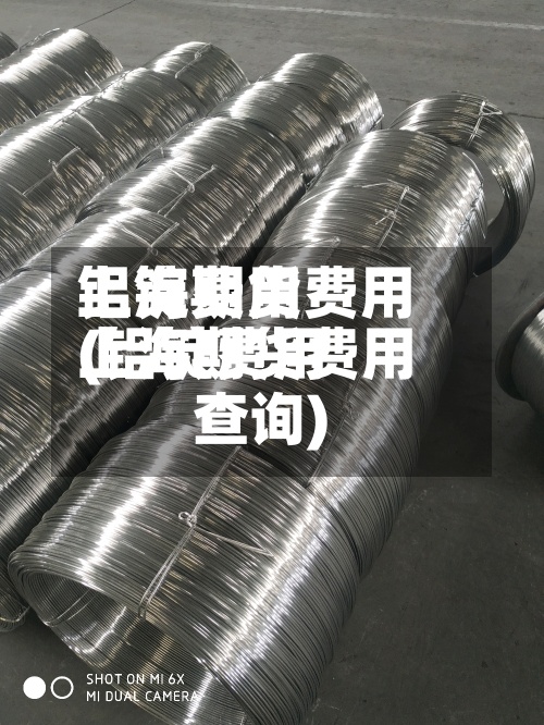 铝锭费用上海期货费用(铝锭费用上海期货费用查询)