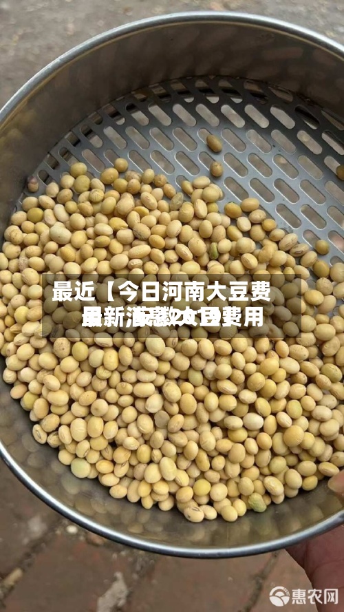最近【今日河南大豆费用最新,安徽大豆费用最新消息2019】-第2张图片