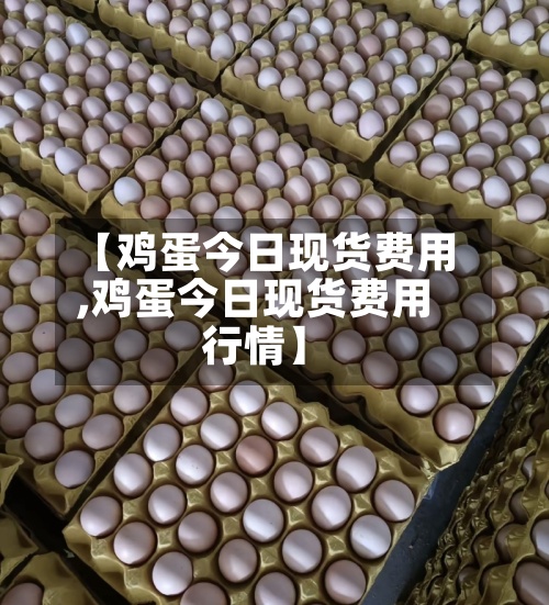 【鸡蛋今日现货费用
,鸡蛋今日现货费用
行情】-第2张图片