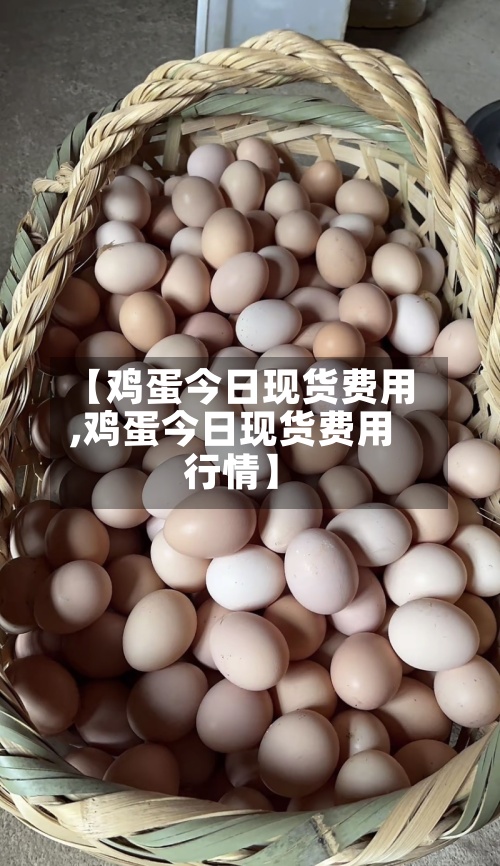 【鸡蛋今日现货费用,鸡蛋今日现货费用行情】