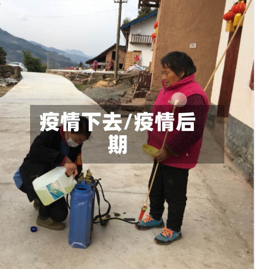 疫情下去/疫情后期